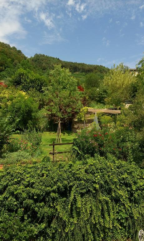 B&B Casa Brunelli Trento Exterior photo